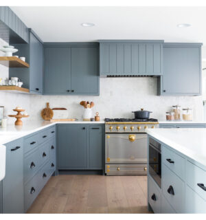 CBMmart-North-America-Modern-Light-Blue-Flat.jpg North America Light-Blue Flat-Panel Renovation Cabinet