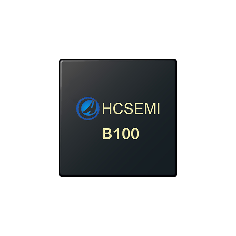 B100 Projector main control chip